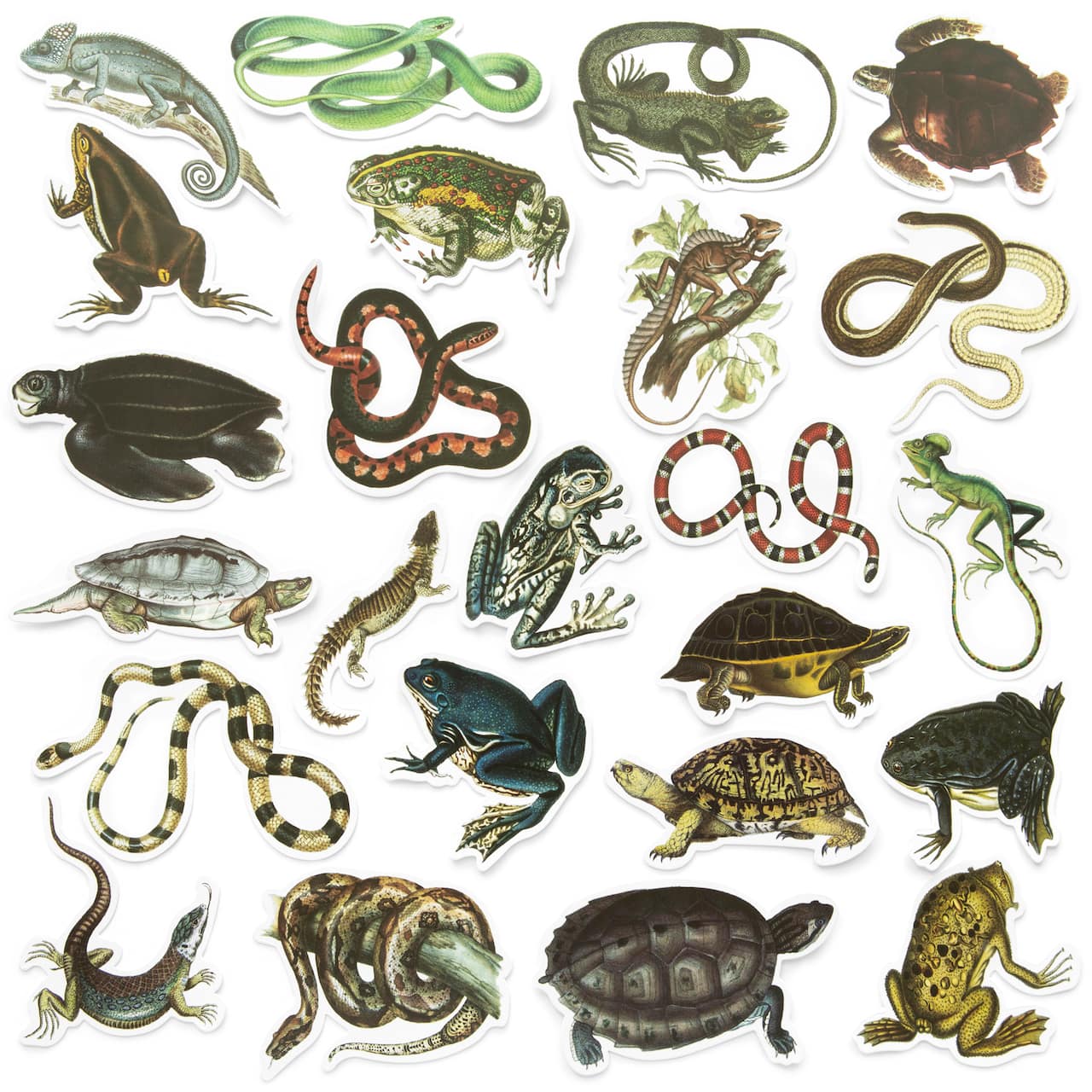 Reptiles Die Cut Stickers by Recollections&#x2122;